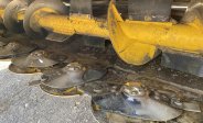 equipment-fpo