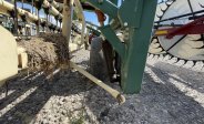 equipment-fpo