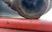 equipment-fpo